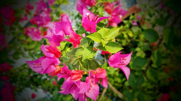 Top 5 étendoirs rétractables imperméables à considérer !